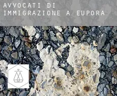 Avvocati di immigrazione a  Eupora