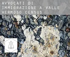 Avvocati di immigrazione a  Valle Hermoso