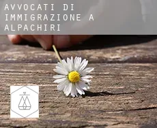 Avvocati di immigrazione a  Alpachiri