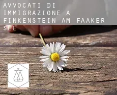 Avvocati di immigrazione a  Finkenstein am Faaker See