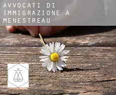 Avvocati di immigrazione a  Menestreau