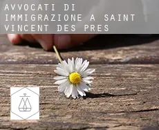 Avvocati di immigrazione a  Saint-Vincent-des-Prés