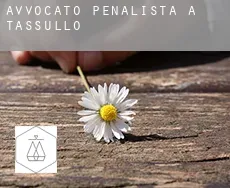Avvocato penalista a Tassullo