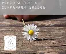 Procuratore a Cuppanagh Bridge