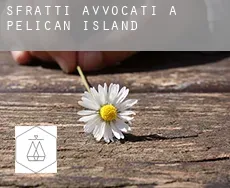 Sfratti avvocati a  Pelican Island
