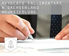 Avvocato fallimentare a Sachsenland-Wohnsiedlung