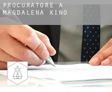 Procuratore a  Magdalena de Kino