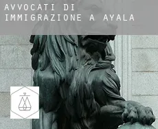 Avvocati di immigrazione a  Ayala