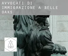 Avvocati di immigrazione a  Belle Oaks