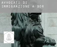 Avvocati di immigrazione a  Bor