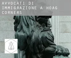 Avvocati di immigrazione a Hoag Corners