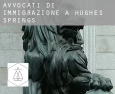 Avvocati di immigrazione a  Hughes Springs
