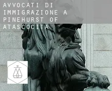 Avvocati di immigrazione a  Pinehurst of Atascocita