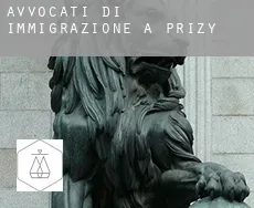 Avvocati di immigrazione a Prizy