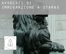 Avvocati di immigrazione a  Starns