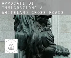 Avvocati di immigrazione a  Whiteland Cross Roads