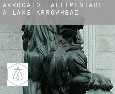 Avvocato fallimentare a  Lake Arrowhead