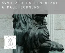 Avvocato fallimentare a  Maue Corners