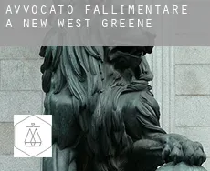 Avvocato fallimentare a  New West Greene