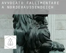 Avvocato fallimentare a  Norderaussendeich