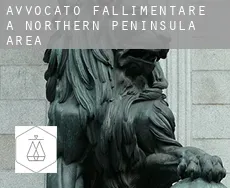 Avvocato fallimentare a  Northern Peninsula Area