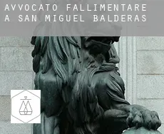 Avvocato fallimentare a San Miguel Balderas