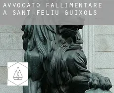 Avvocato fallimentare a Sant Feliu de Guíxols