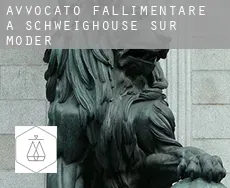 Avvocato fallimentare a  Schweighouse-sur-Moder