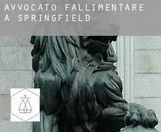 Avvocato fallimentare a  Springfield