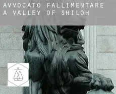 Avvocato fallimentare a  Valley of Shiloh