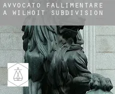 Avvocato fallimentare a  Wilhoit Subdivision