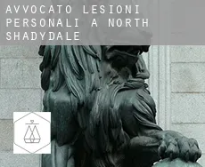 Avvocato lesioni personali a  North Shadydale