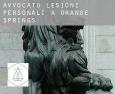 Avvocato lesioni personali a  Orange Springs