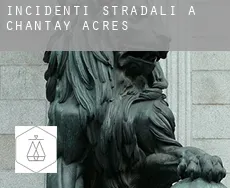 Incidenti stradali a  Chantay Acres