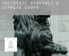 Incidenti stradali a  Cypress Grove