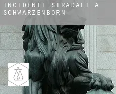 Incidenti stradali a Schwarzenborn