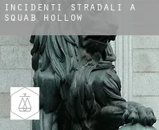Incidenti stradali a  Squab Hollow