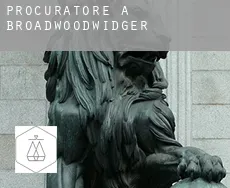 Procuratore a  Broadwoodwidger