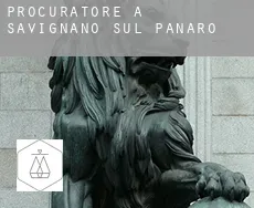 Procuratore a Savignano sul Panaro