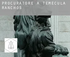 Procuratore a  Temecula Ranchos