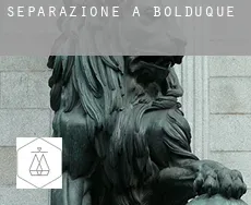 Separazione a Boscoducale