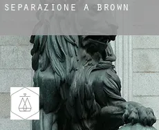 Separazione a Brown