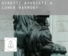 Sfratti avvocati a Lower Harmony