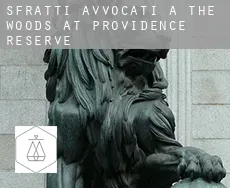 Sfratti avvocati a  The Woods at Providence Reserve