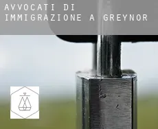 Avvocati di immigrazione a Greynor