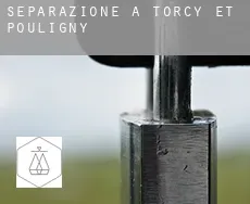 Separazione a Torcy-et-Pouligny