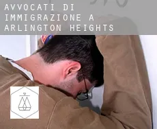 Avvocati di immigrazione a  Arlington Heights