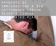 Avvocati di immigrazione a  Big Cottonwood Canyon Resorts