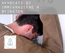 Avvocati di immigrazione a  Byington