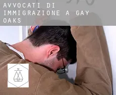 Avvocati di immigrazione a  Gay Oaks